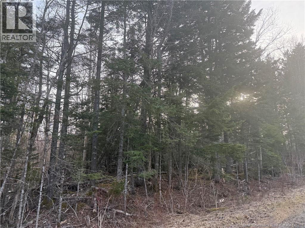Mckay Loop Road, Pennfield, New Brunswick  E5H 2L2 - Photo 5 - NB136960