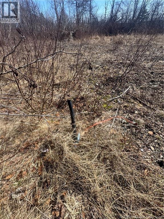 90 Foster Hill Road, Grand Manan, New Brunswick  E5G 2G6 - Photo 9 - NB137043