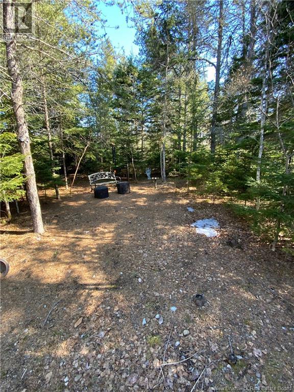 178 Gray Road, Penobsquis, New Brunswick  E4E 5T1 - Photo 13 - NB137031
