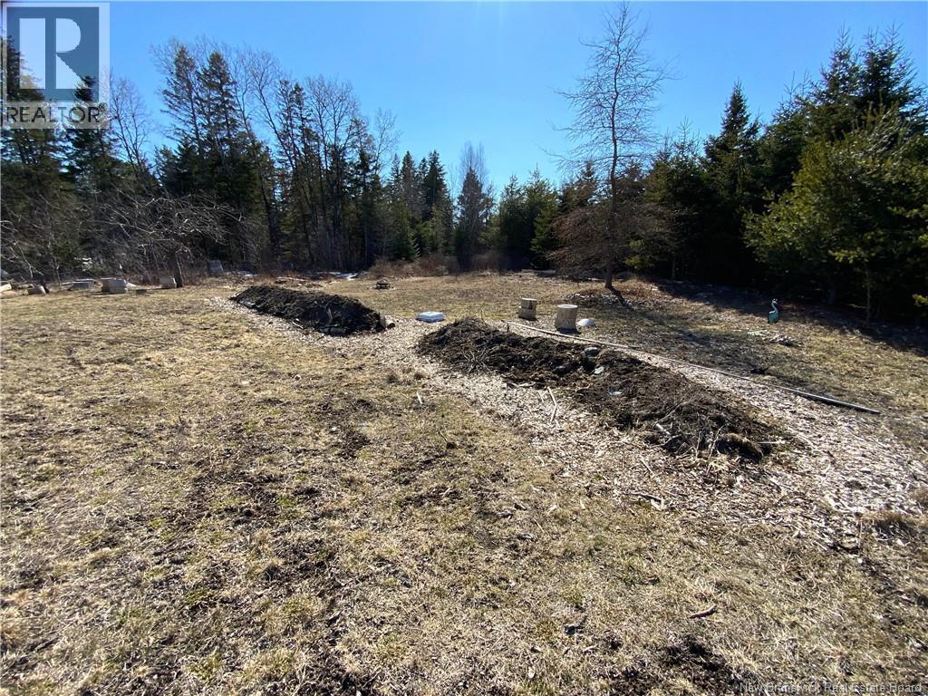 178 Gray Road, Penobsquis, New Brunswick  E4E 5T1 - Photo 28 - NB137031