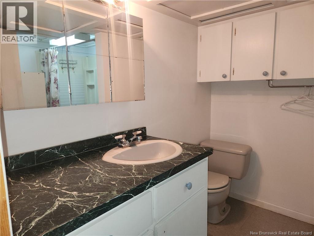 66 St-Antoine Street, Saint-Léonard, New Brunswick  E7E 1Z4 - Photo 23 - NB136992