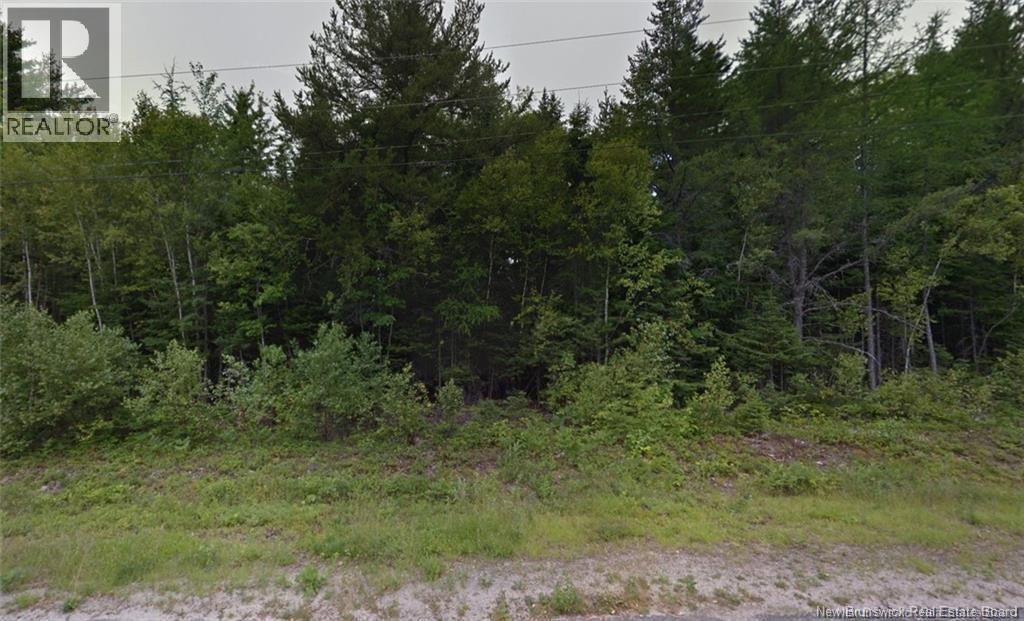 1.07 Acres Gray Street, Miramichi, New Brunswick  E1V 5X1 - Photo 3 - NB137004