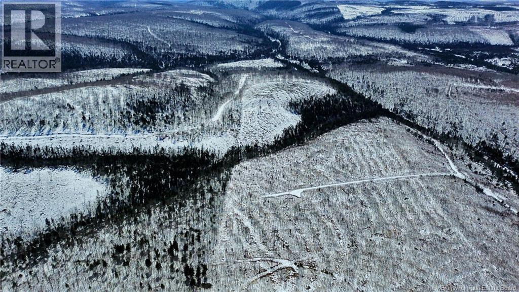 Land Kintore Tower Road, Kintore, New Brunswick  E7H 2P8 - Photo 17 - NB137099