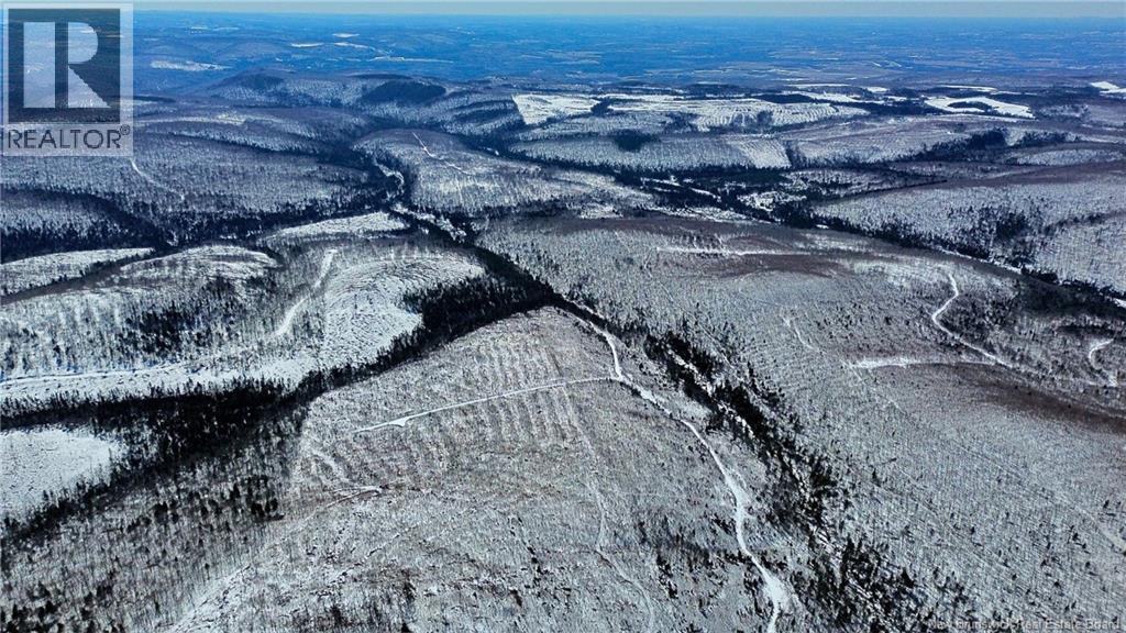 Land Kintore Tower Road, Kintore, New Brunswick  E7H 2P8 - Photo 5 - NB137099