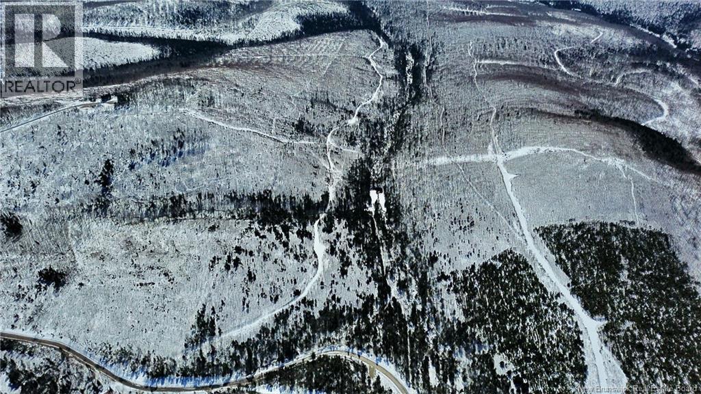Land Kintore Tower Road, Kintore, New Brunswick  E7H 2P8 - Photo 8 - NB137099
