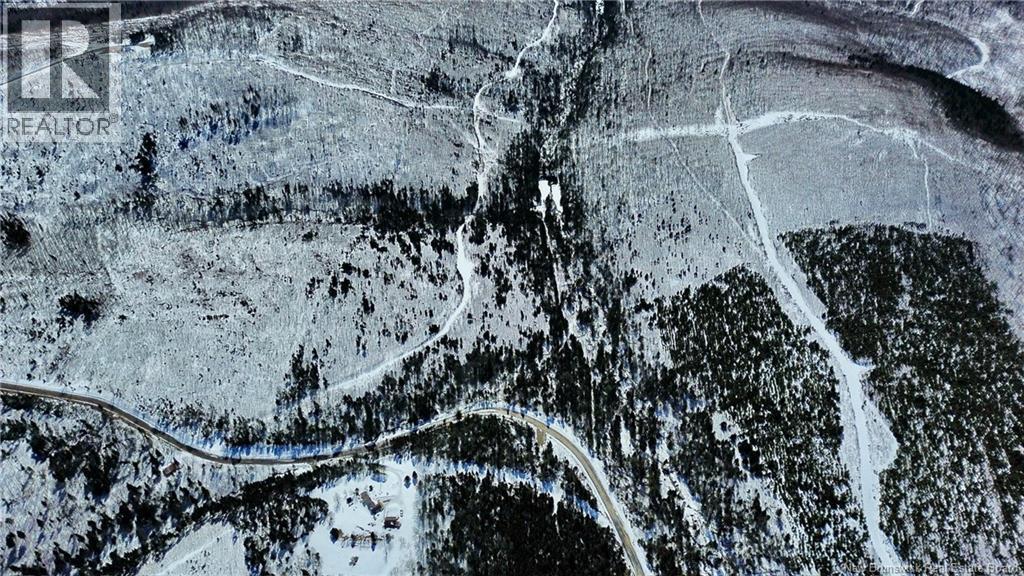 Land Kintore Tower Road, Kintore, New Brunswick  E7H 2P8 - Photo 9 - NB137099