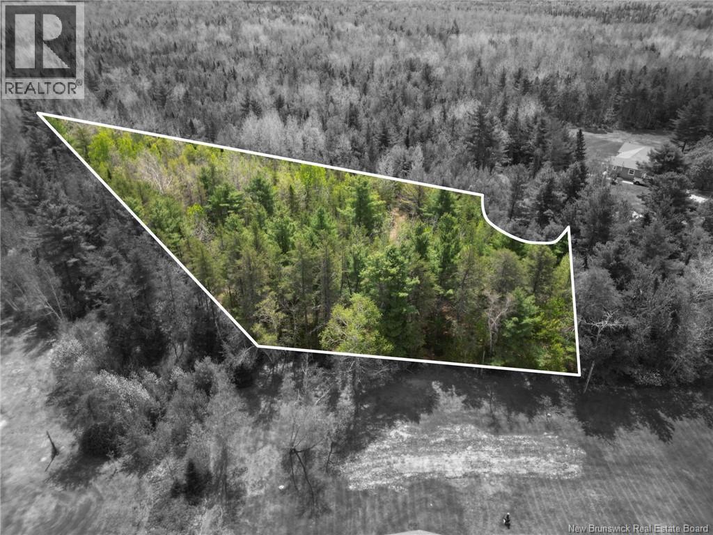 Lot 97-1 des Pins, Saint-Charles, New Brunswick