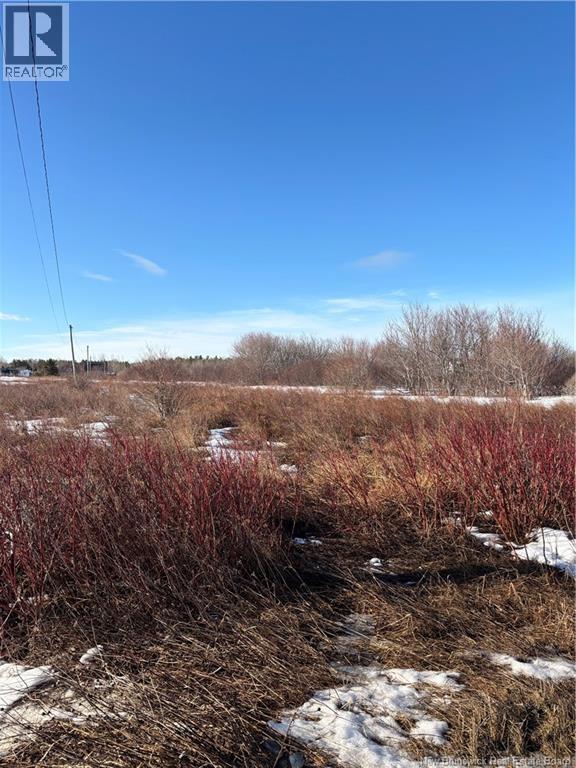 1.3 Acres Du Vieux Port De Mer Street, Petite-Rivière-De-I'lle, New Brunswick  E8T 1X6 - Photo 2 - NB137132