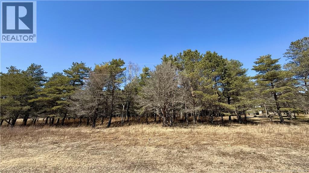 21 Arcade Street, Shediac Bridge, New Brunswick  E4R 5Z4 - Photo 6 - NB137121