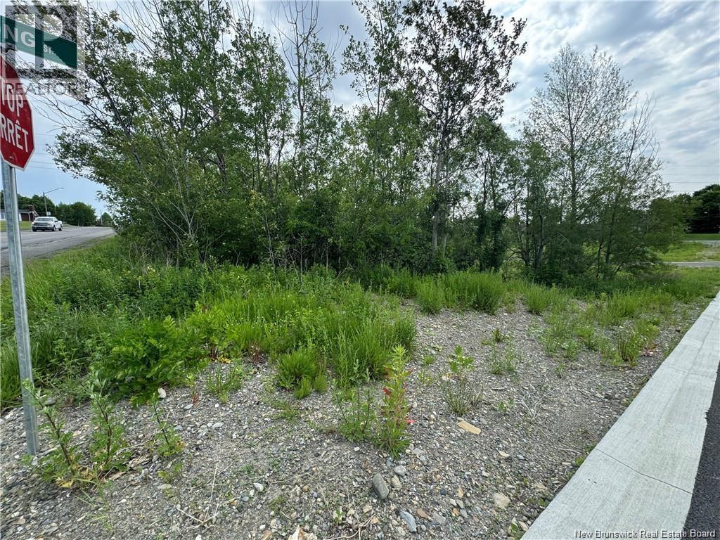 Evangeline Street, Grand-Sault/grand Falls, New Brunswick  E3Y 1B9 - Photo 3 - NB137140