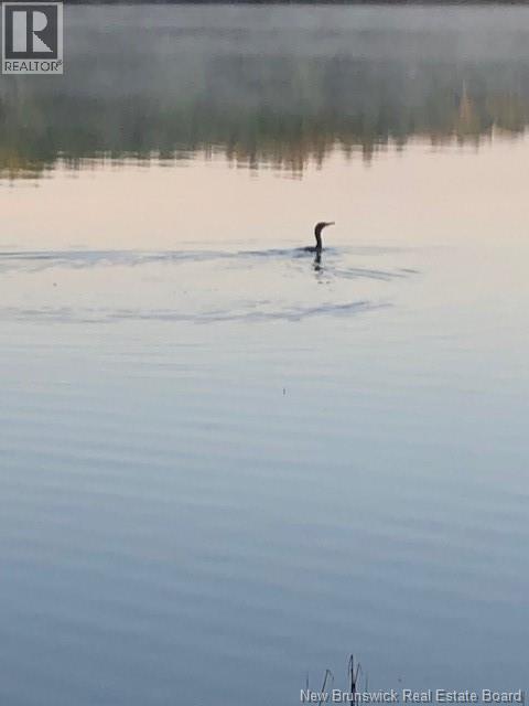 840 Bass River Point Road, Bass River, New Brunswick  E4T 1K4 - Photo 27 - NB137128