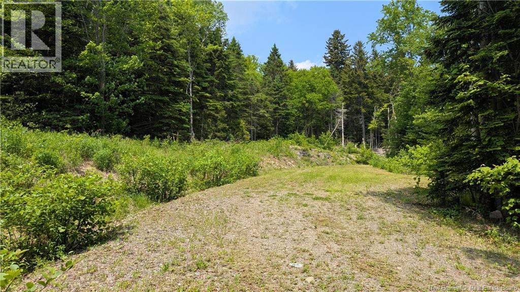 15 Foley Lane, Summerville, New Brunswick  E5S 1B7 - Photo 1 - NB136750