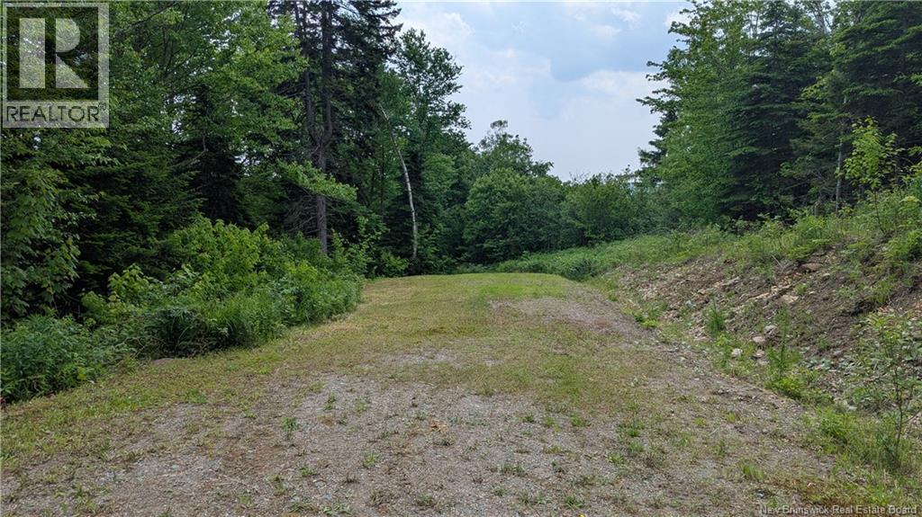 15 Foley Lane, Summerville, New Brunswick  E5S 1B7 - Photo 5 - NB136750