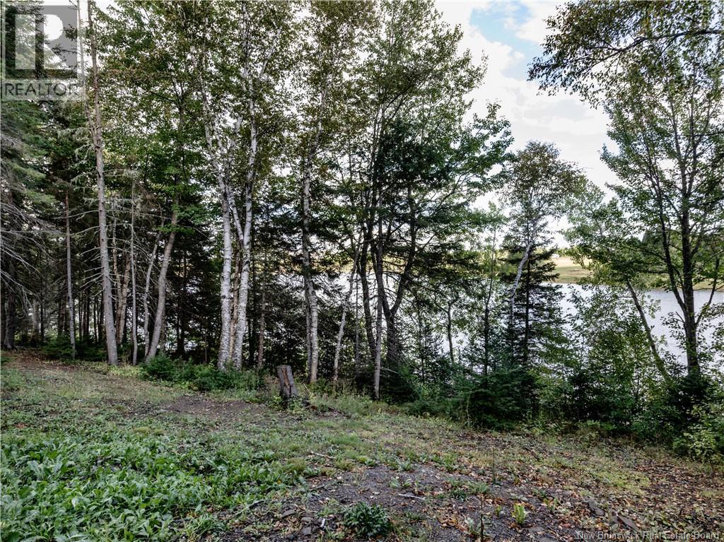 314 Alden Warmen Road, Bass River, New Brunswick E4T 3Y2 - Photo 25 - NB137021