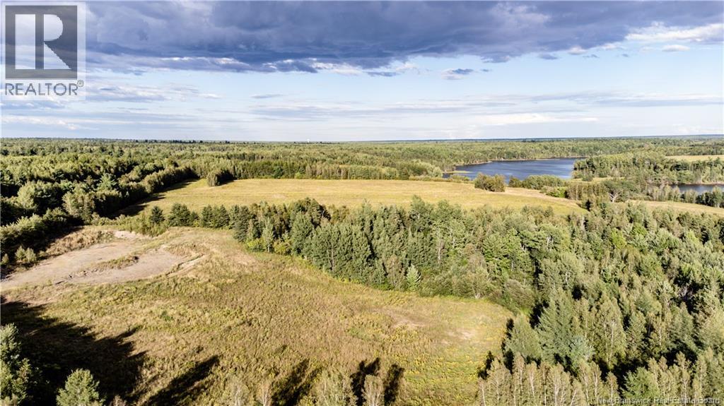 314 Alden Warmen Road, Bass River, New Brunswick E4T 3Y2 - Photo 9 - NB137021