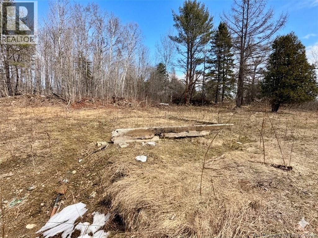 10030 105 Route, Beechwood, New Brunswick  E7J 1Y2 - Photo 12 - NB137136