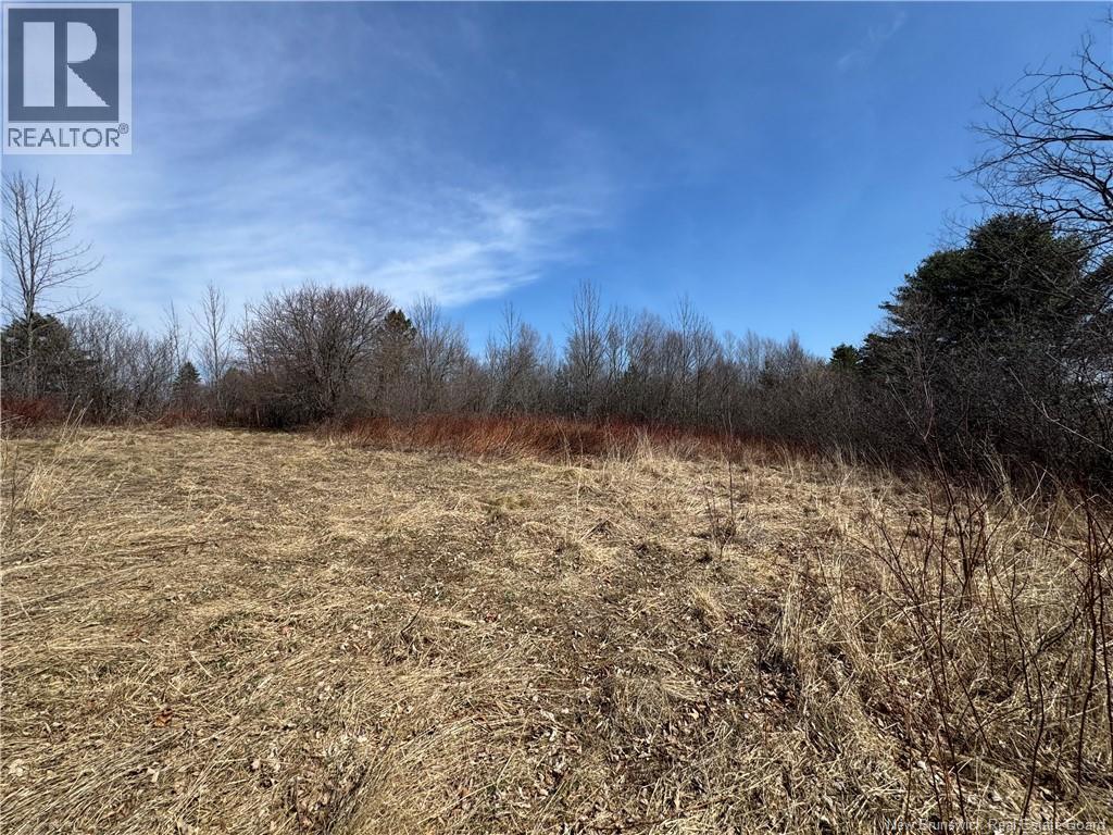 9321 Route 3, Old Ridge, New Brunswick  E3L 4X4 - Photo 7 - NB137184