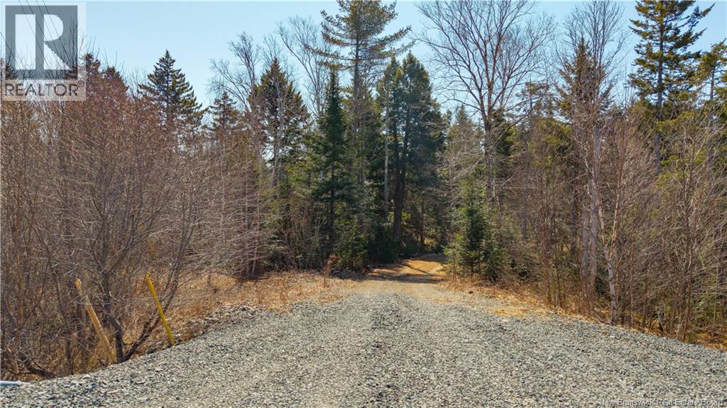 3008 Route 760, Bethel, New Brunswick E5C 0G2 - Photo 20 - NB137162