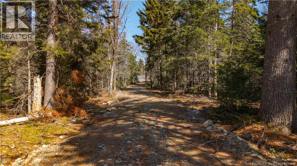 3008 Route 760, Bethel, New Brunswick E5C 0G2 - Photo 21 - NB137162