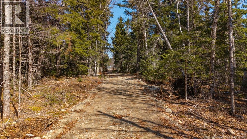 3008 Route 760, Bethel, New Brunswick E5C 0G2 - Photo 22 - NB137162