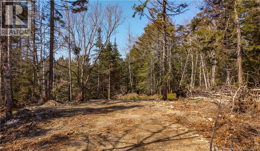 3008 Route 760, Bethel, New Brunswick E5C 0G2 - Photo 24 - NB137162