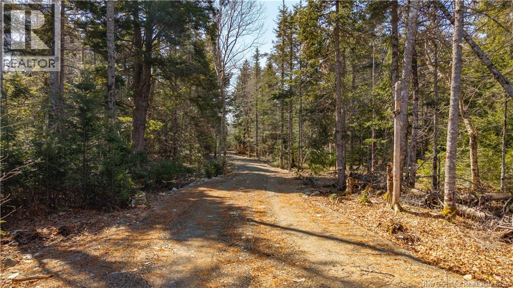 3008 Route 760, Bethel, New Brunswick E5C 0G2 - Photo 26 - NB137162