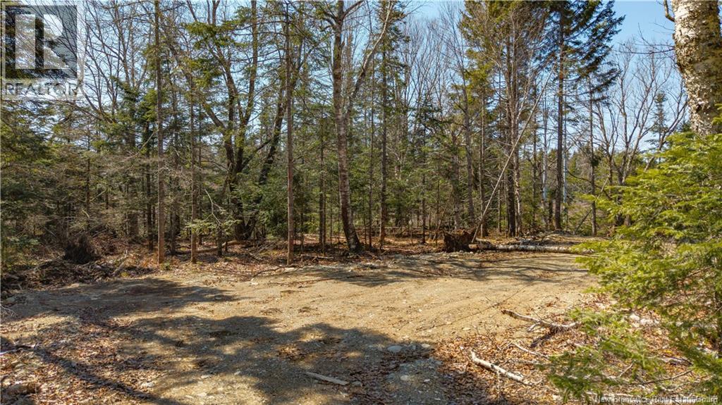 3008 Route 760, Bethel, New Brunswick E5C 0G2 - Photo 27 - NB137162