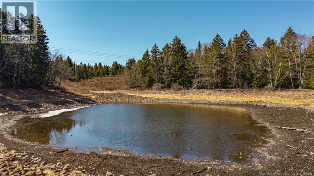 3008 Route 760, Bethel, New Brunswick E5C 0G2 - Photo 34 - NB137162