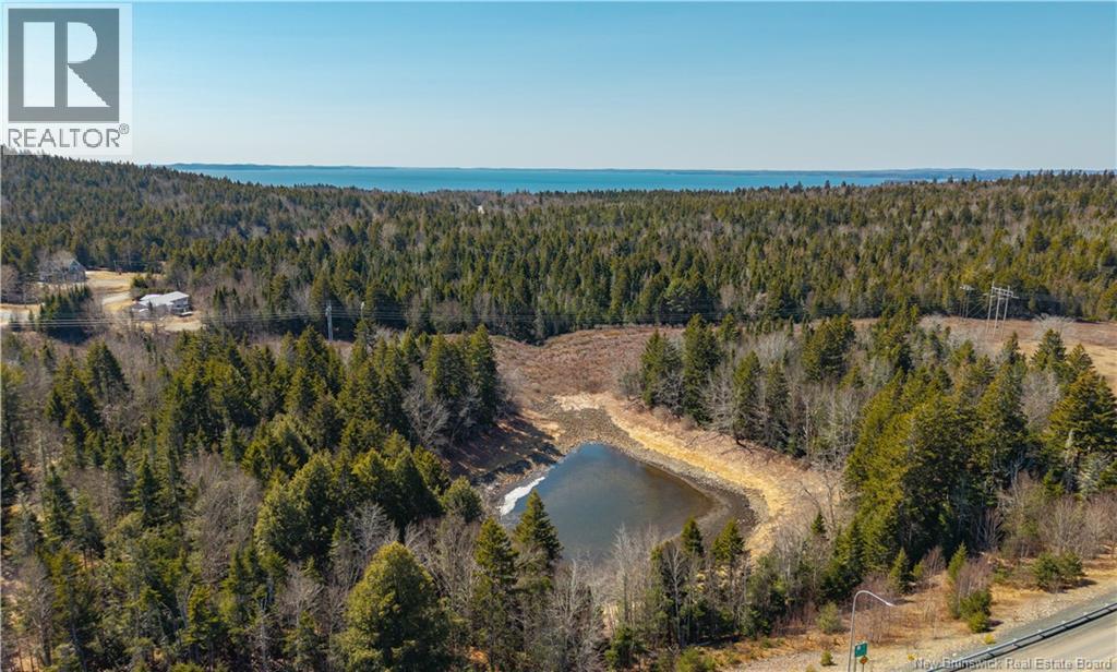 3008 Route 760, Bethel, New Brunswick E5C 0G2 - Photo 37 - NB137162