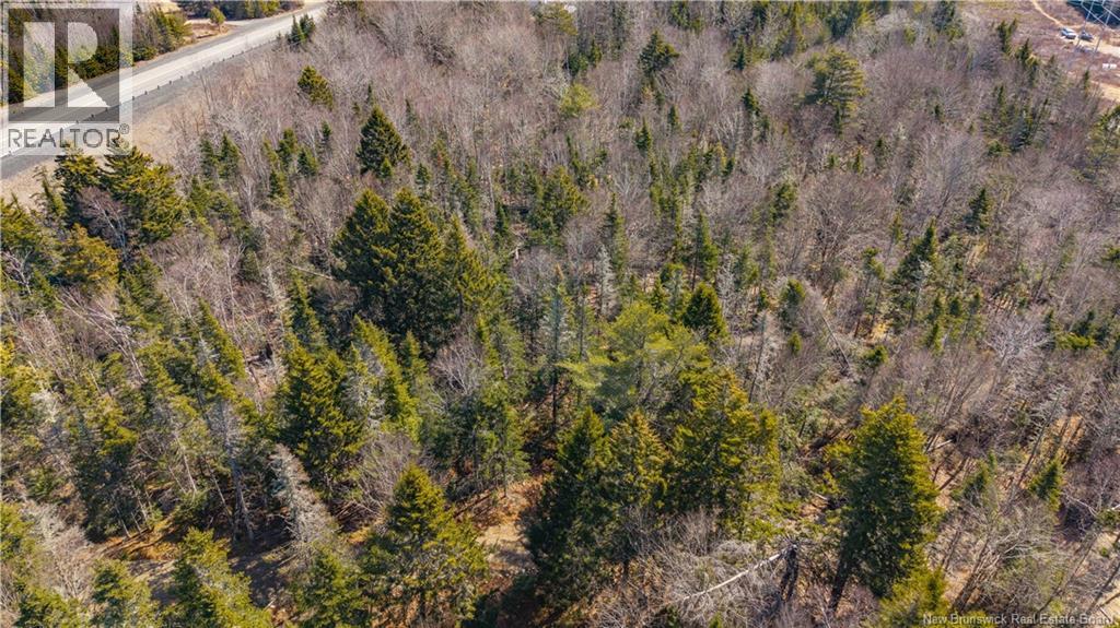 3008 Route 760, Bethel, New Brunswick E5C 0G2 - Photo 38 - NB137162