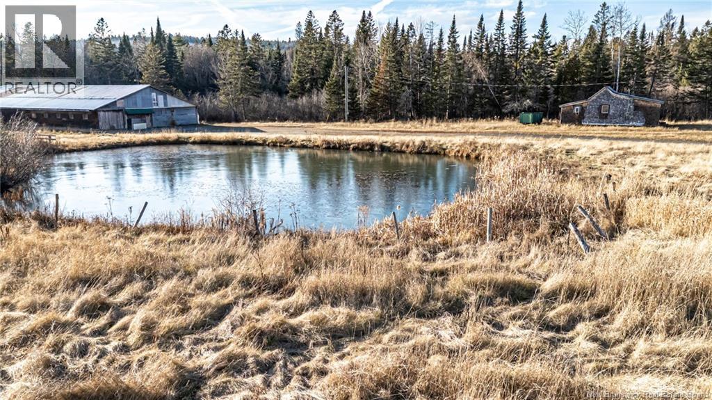 1265 620 Route, Estey's Bridge, New Brunswick  E3G 6K4 - Photo 5 - NB136919