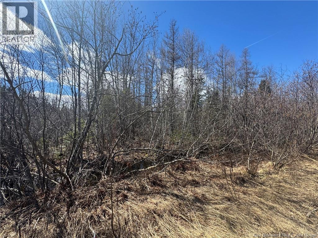 00 Dickson Road, Lawrence Station, New Brunswick E5A 1S7 - Photo 1 - NB137211