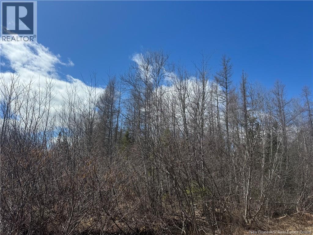 00 Dickson Road, Lawrence Station, New Brunswick E5A 1S7 - Photo 2 - NB137211