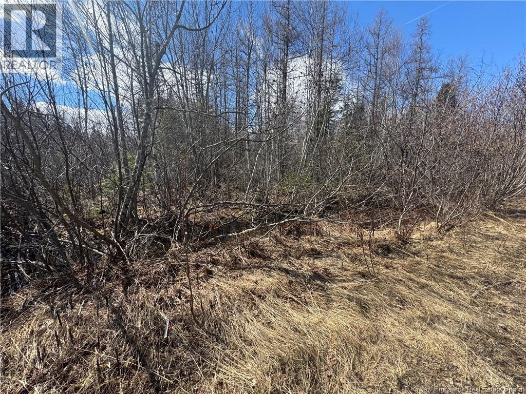 00 Dickson Road, Lawrence Station, New Brunswick E5A 1S7 - Photo 4 - NB137211