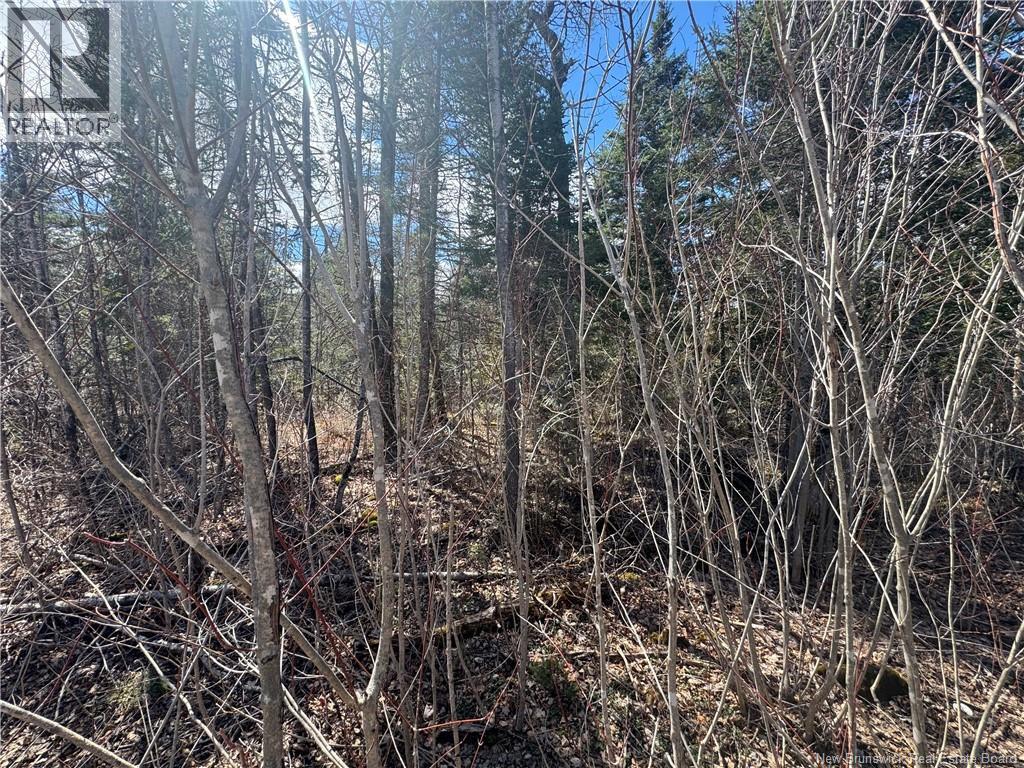 00 Dickson Road, Lawrence Station, New Brunswick E5A 1S7 - Photo 7 - NB137211