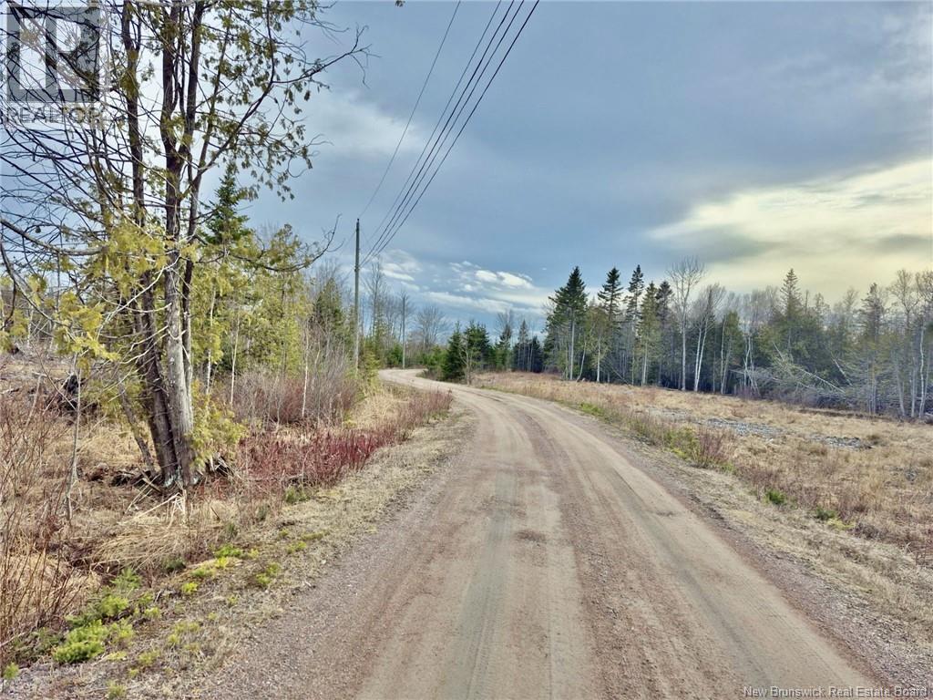 Lot Raymel Road, Grand-Barachois, New Brunswick  E4P 0N7 - Photo 3 - NB137219
