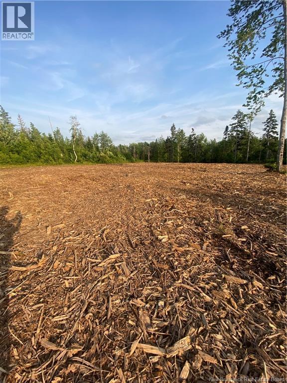 Lot Raymel Road, Grand-Barachois, New Brunswick E4P 0N7 - Photo 6 - NB137219