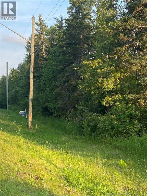 Lot Raymel Road, Grand-Barachois, New Brunswick E4P 0N7 - Photo 8 - NB137219