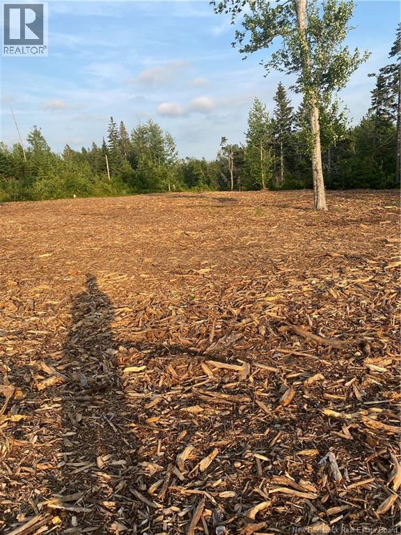 Lot Raymel Road, Grand-Barachois, New Brunswick E4P 0N7 - Photo 9 - NB137219