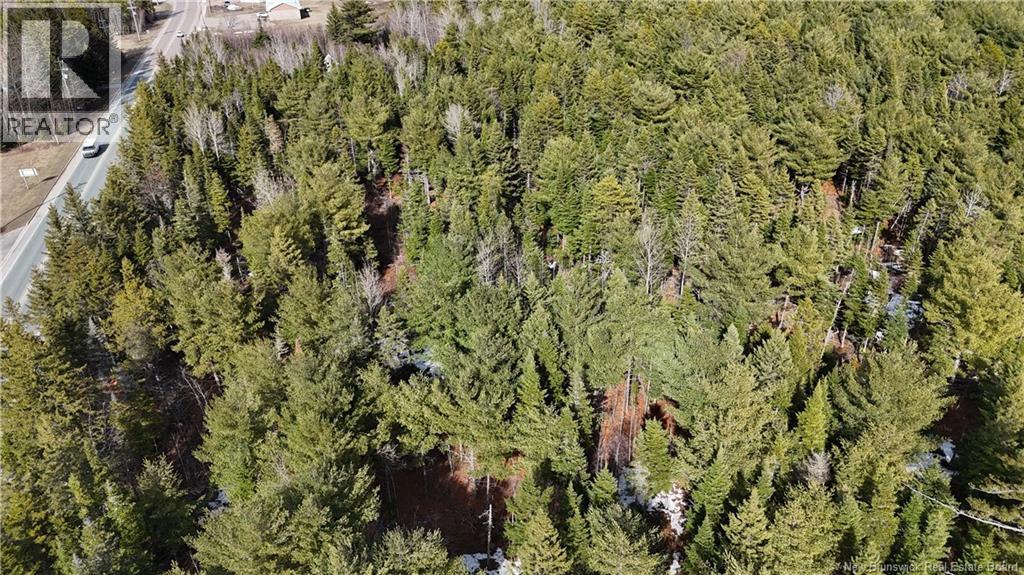 Lot 23-1 Main Street, Rexton, New Brunswick  E4W 1Z7 - Photo 5 - NB137273