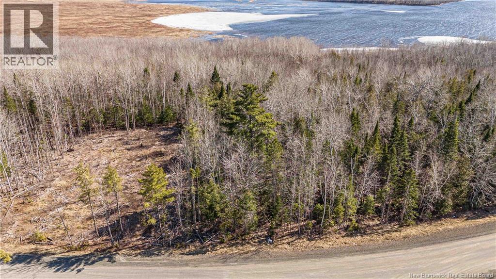 Lot Smith Road, Waterville, New Brunswick  E2V 3S9 - Photo 4 - NB137282