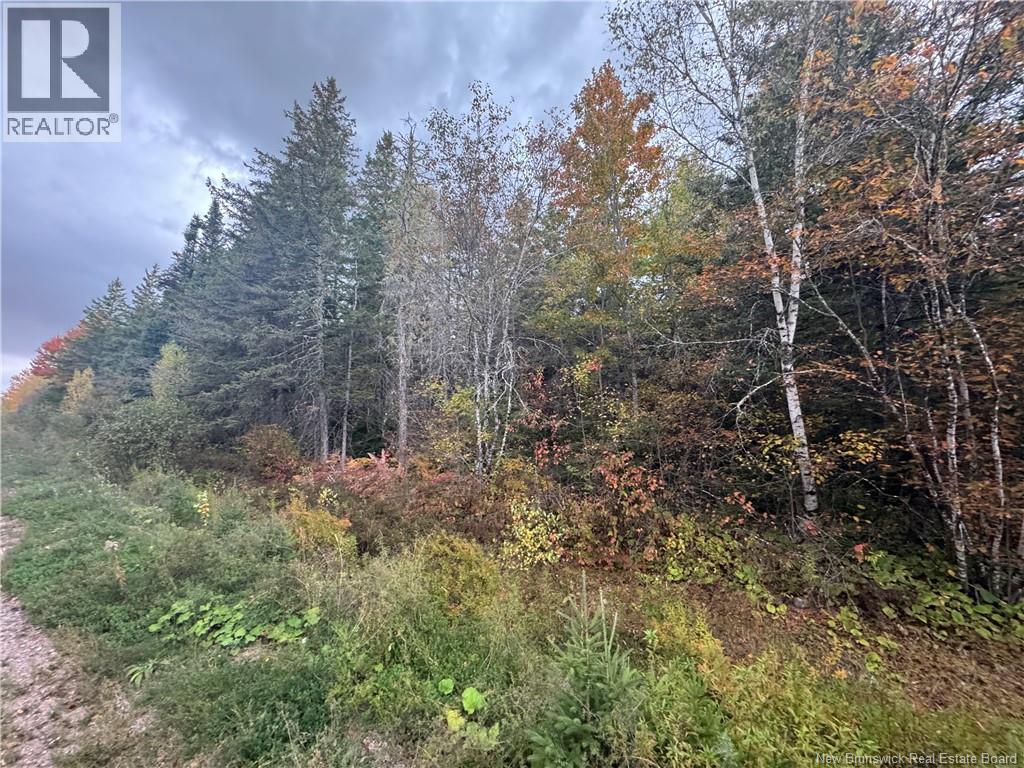 Salem Road, Havelock, New Brunswick  E4C 3S1 - Photo 4 - NB137297