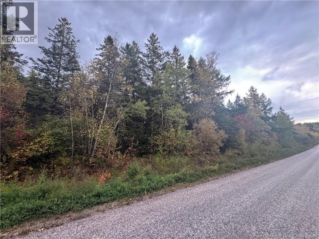 Salem Road, Havelock, New Brunswick  E4C 3S1 - Photo 5 - NB137297