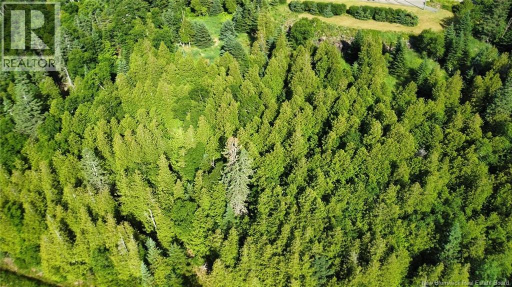 00 Batten Terrace, Saint John, New Brunswick  E2K 5K2 - Photo 2 - NB136801