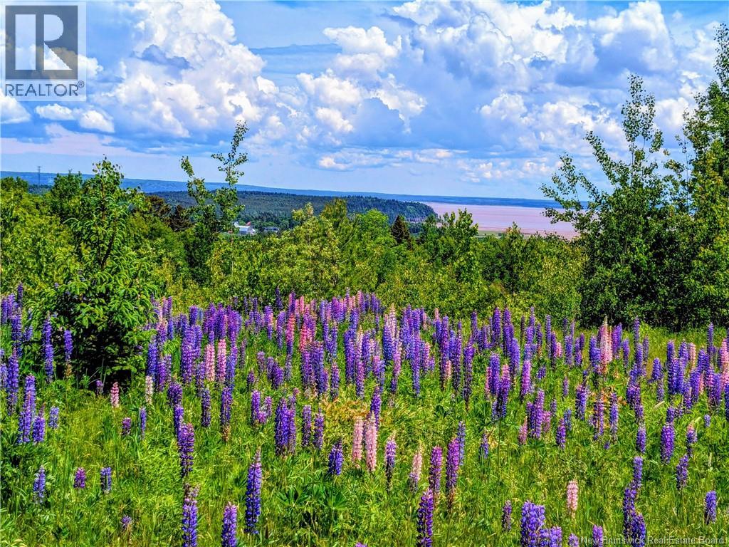 1266 Albert Mines Road, Lower Cape, New Brunswick