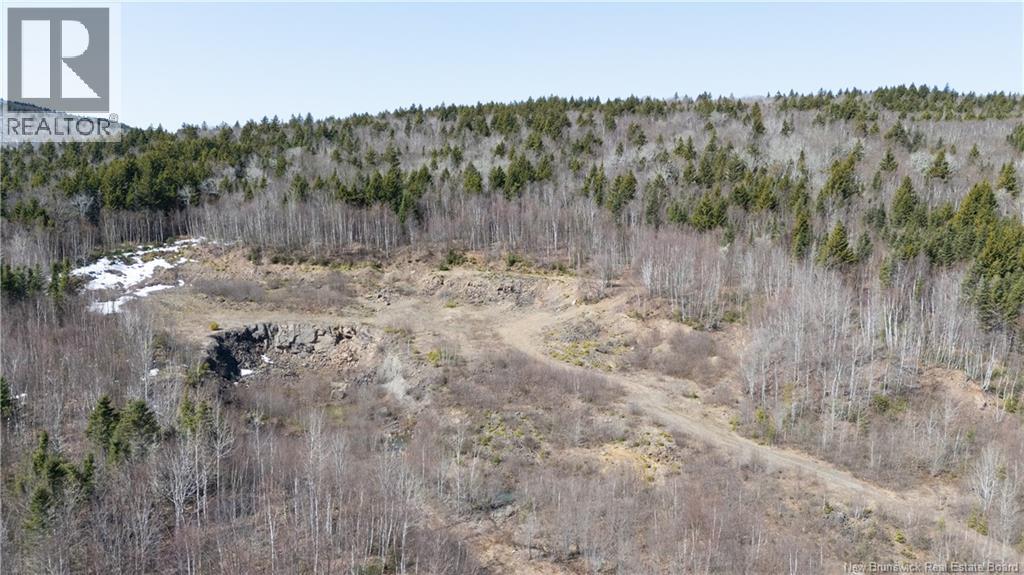 1266 Albert Mines Road, Lower Cape, New Brunswick  E4H 1X1 - Photo 13 - NB136859
