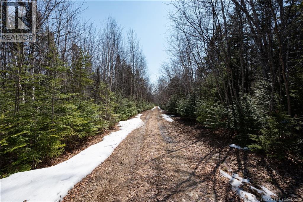 1266 Albert Mines Road, Lower Cape, New Brunswick  E4H 1X1 - Photo 30 - NB136859