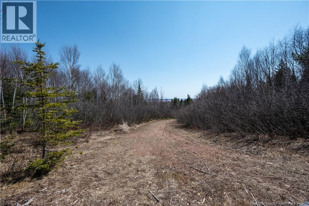 1266 Albert Mines Road, Lower Cape, New Brunswick  E4H 1X1 - Photo 37 - NB136859
