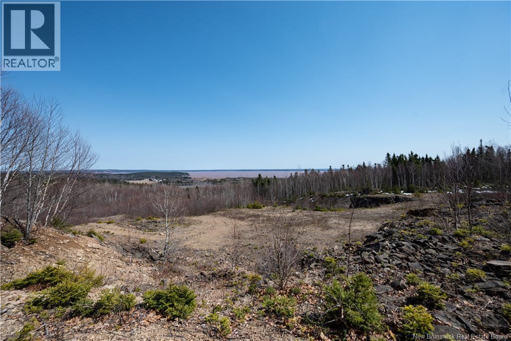 1266 Albert Mines Road, Lower Cape, New Brunswick  E4H 1X1 - Photo 40 - NB136859