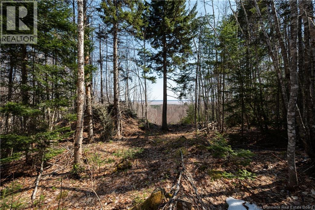 1266 Albert Mines Road, Lower Cape, New Brunswick  E4H 1X1 - Photo 42 - NB136859